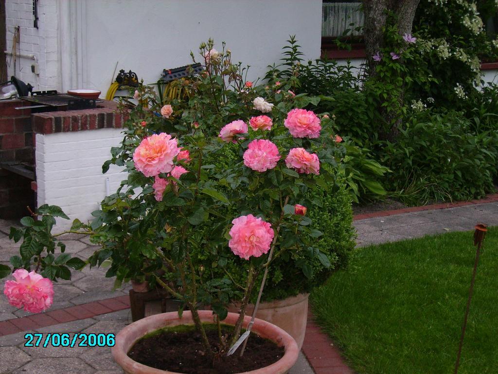 Haus Utspann Leck ภายนอก รูปภาพ
